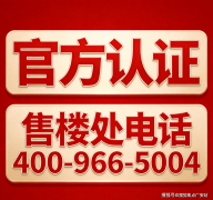 认准项目方公示消息